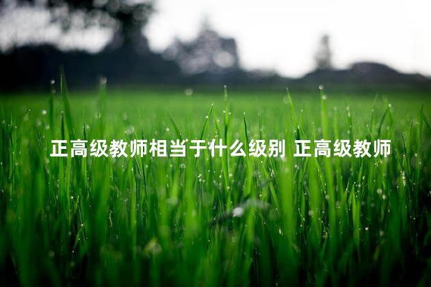 正高级教师相当于什么级别 正高级教师厉害吗